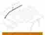 Al3z1651223a Ford Oem 09-14 F-150 Roof-weatherstrip Left