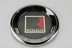 Ford Mustang Roush Decal Deck Lid Emblem Badge Fit Rear Trunk 5.9"/15CM Silver. Fixed Price $39.99.