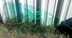 2008 Nissan Maxima Right Front Door Glass Panel Intact. Fixed Price $70.00.