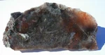 Polished Coprolite Dinosaur Poop End Cut Display Specimen 126.5 Gram 114X54X20MM. Fixed Price $125.00.