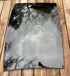 12-17 Bmw F13 6 Series Upper Sliding Sun Moon Roof Glass Cover Trim Panel Oem. Fixed Price $175.00.