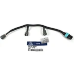 Genuine 3961039020 Fuel Injection Wiring Harness For Hyundai Santa Fe XG350. Fixed Price $74.99.