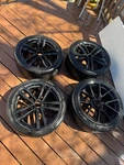 Bmw & 4-SERIES Genuine Sport Style 442M 19" Wheel Rims 440 435 428 335 328. Fixed Price $550.00.