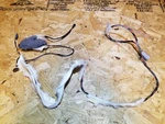 06 07 08 09 Saab 9-5 Aero Roof Wire Harness Oem. Fixed Price $17.60.