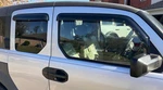 Avs 3M Tape-on Smoke Rain Guards Vent Visors Shade For 2003-2011 Honda Element. Fixed Price $79.99.