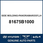 2014-2020 Hyundai Genesis Side Molding-panoramaroof Oem New 81675B1000. Fixed Price $277.75.