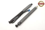 2016-2019 Bmw 750I 740I M760I G12 Rear Trunk Lift Support Cylinder Strut Set Oem. Fixed Price $69.99.