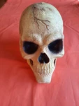 Halloween Scarey Lifelike Skull Table Decoration Full Size Rugged Rubber. Fixed Price $27.50.