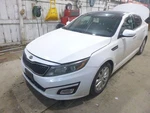 Kia Optima 2015 Roof Glass 816212T000 0793. Fixed Price $153.99.