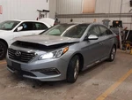 Sunroof For Sonata Complete Glass With Fr. Fixed Price $449.99.