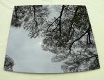 Mkt Mkx Edge Front Sunroof Glass 7T4Z-18500A18-A Local Pickup Only. Fixed Price $320.00.