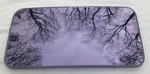 2008 2016 Hyundai Genesis Coupe Oem Factory Sunroof Glass 81610-2M001. Fixed Price $159.50.