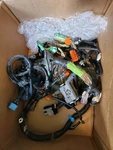 32100-S0K-A00 Oem Honda Right Eng Bay / Cabin Wiring Harness 99-01 Acura 3.2 Tl. Fixed Price $108.00.