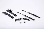 Roush 422043 Hood Strut Kit 2015-2023 Ford Mustang. Fixed Price $168.81.