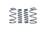 Ford Performance M-5300-RA Cobra Jet Spring Kit. Fixed Price $304.99.