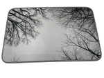 2007-2012 Lexus ES350 Window Oem Glass. Fixed Price $135.00.