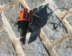 Genuine Bosch Vw Beetle Made Germany Distributor 0231178009 JF4 Cap Condenser. Fixed Price $149.00.
