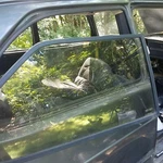 1986 - 1994 Classic Saab 900 3 Door Hatch Right Rear Quarter Window Glass. Fixed Price $128.00.