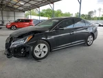 Roof Glass Only Panoramic Front Fits 15-19 Sonata 1102631. Fixed Price $241.25.