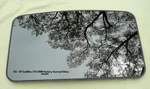 2003 - 2007 Cadillac Cts Oem Factory Sunroof Glass 15942605 88892604. Fixed Price $159.00.